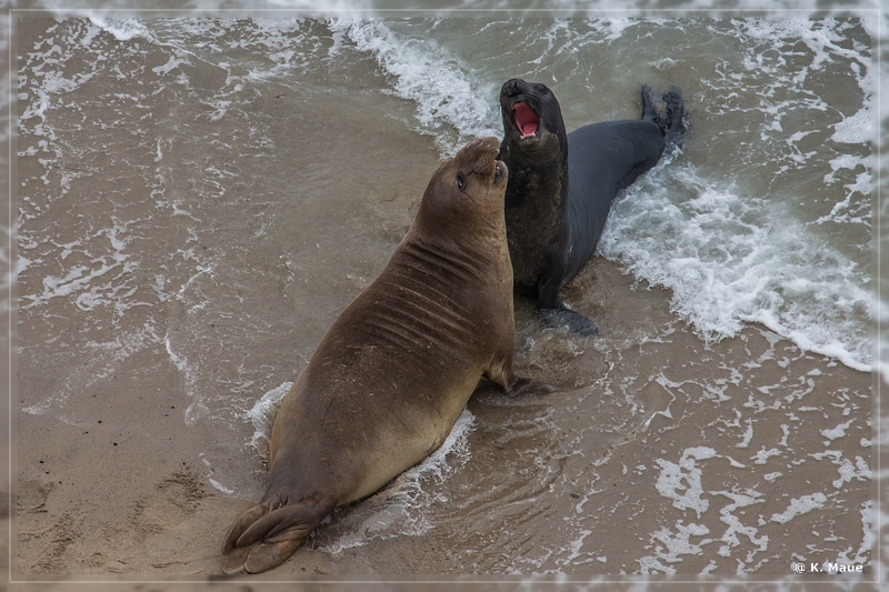 USA2015_0903.jpg