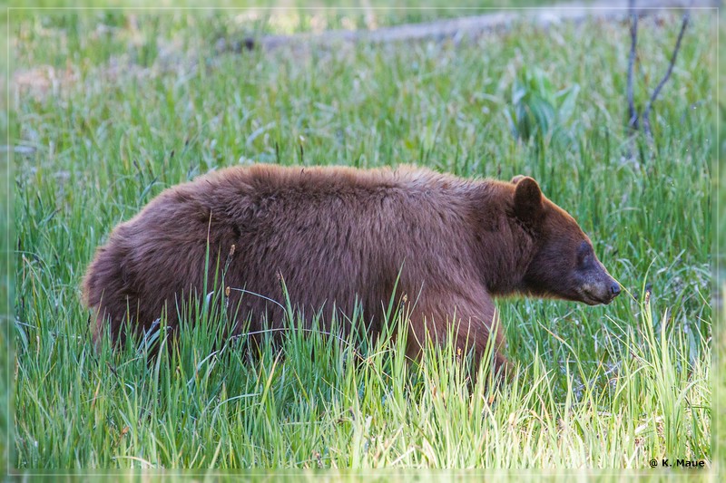 USA2015_0063.jpg