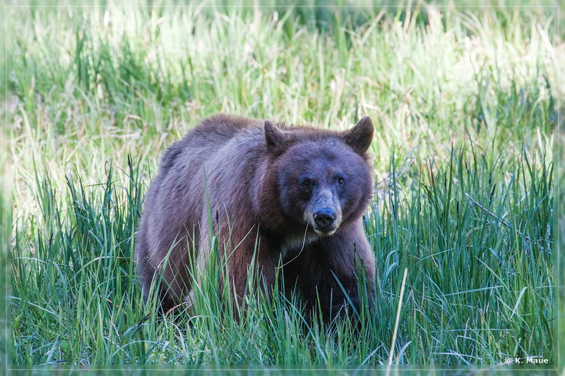 USA2015_0064.jpg