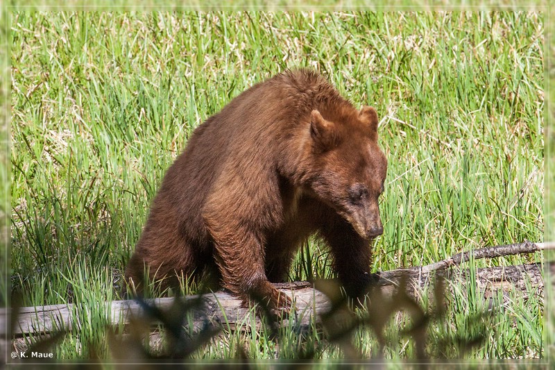 USA2015_0065.jpg