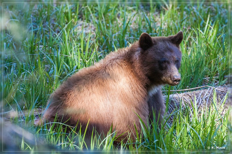 USA2015_0067.jpg