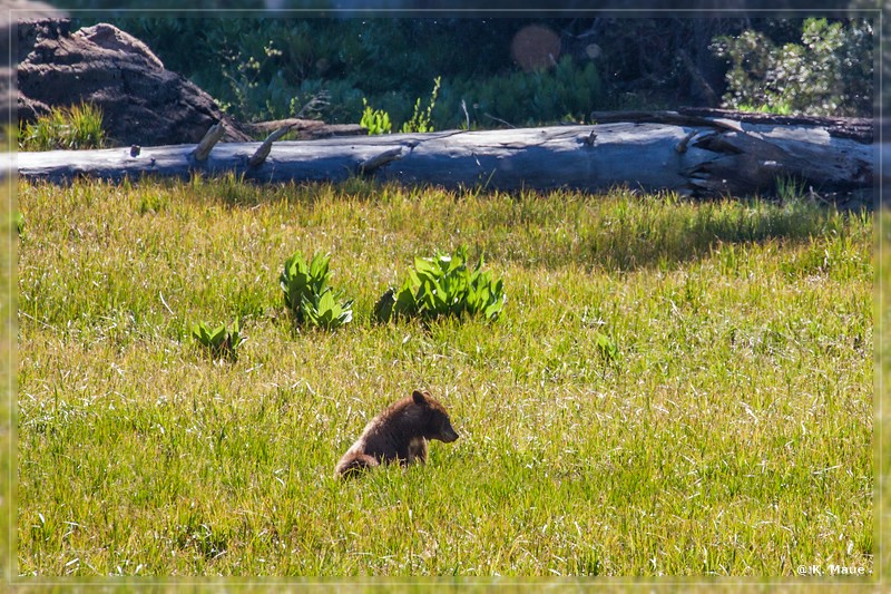 USA2015_0072.jpg