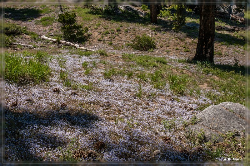 USA2015_0090.jpg