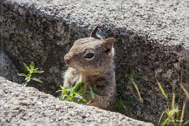 USA2015_0204.jpg