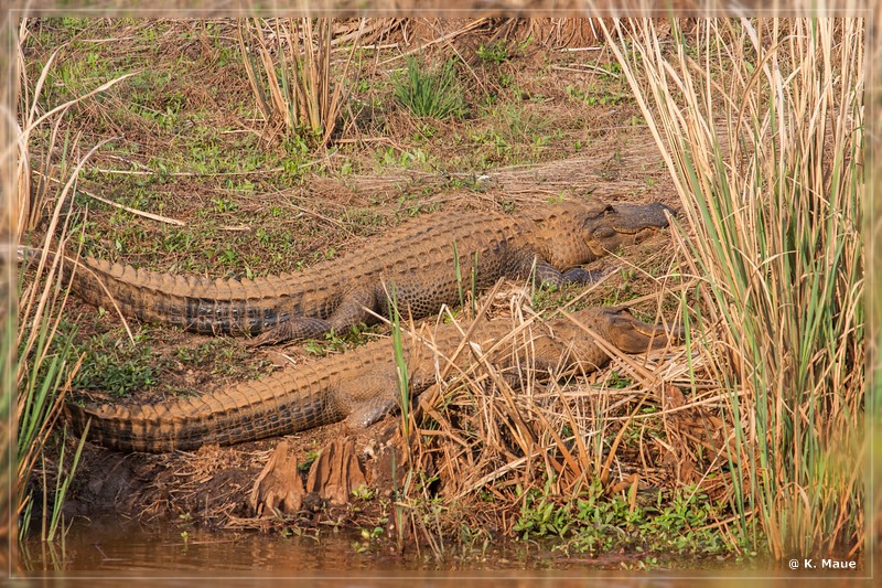 USA_2016_0088.jpg