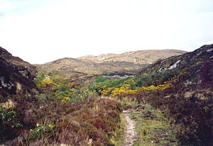 Ballygawly Mountains