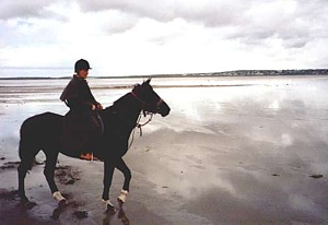 Sligo Riding Centre.jpg