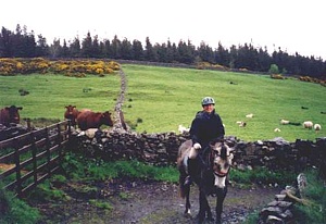Sligo Riding Centre