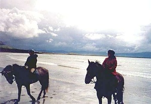 Sligo Riding Centre