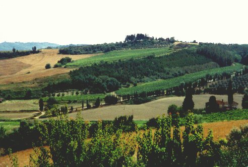 Tuscany Landscape