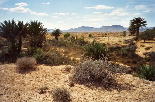 Landscape in South Tunisia