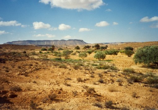 Desert landscape with table mountains