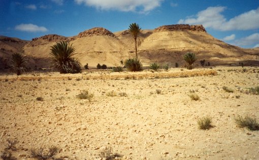Landscape in South Tunisia